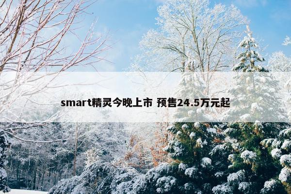 smart精灵今晚上市 预售24.5万元起