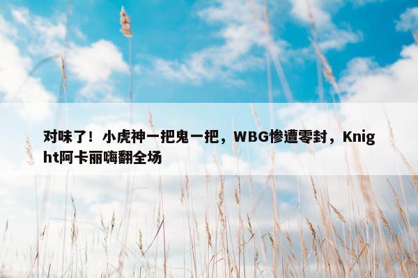 对味了！小虎神一把鬼一把，WBG惨遭零封，Knight阿卡丽嗨翻全场