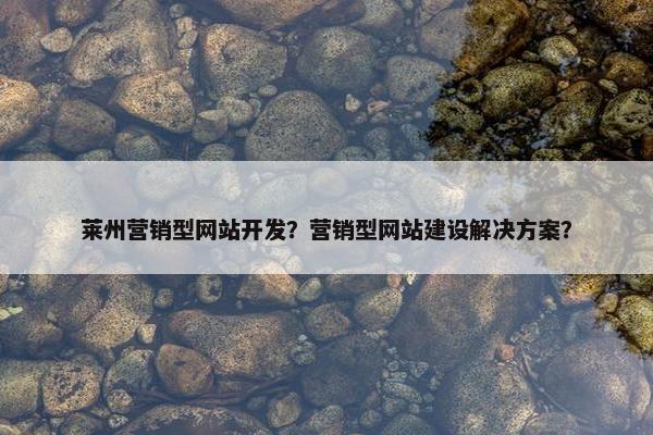 莱州营销型网站开发？营销型网站建设解决方案？