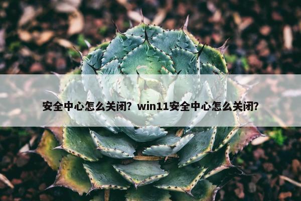 安全中心怎么关闭？win11安全中心怎么关闭？