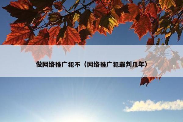 做网络推广犯不（网络推广犯罪判几年）