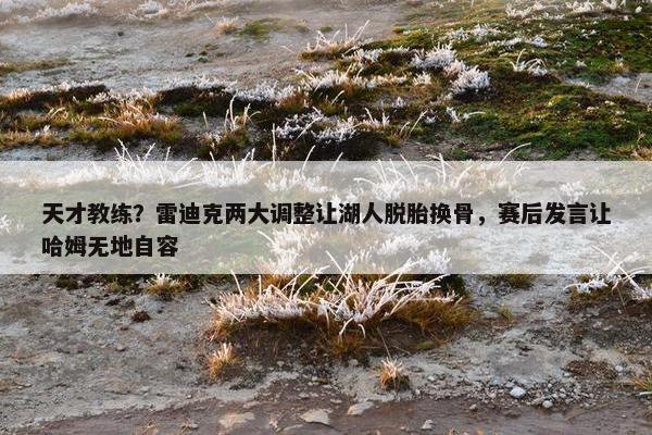 天才教练？雷迪克两大调整让湖人脱胎换骨，赛后发言让哈姆无地自容