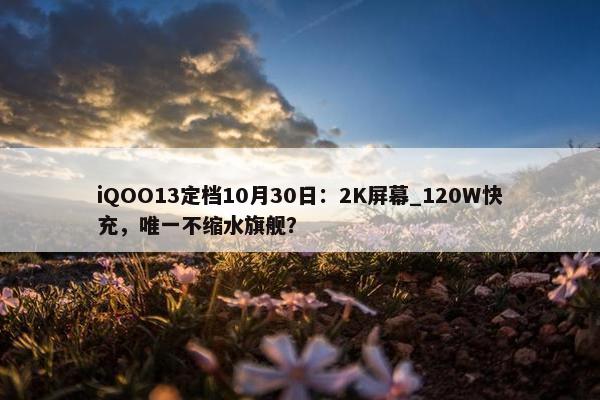 iQOO13定档10月30日：2K屏幕_120W快充，唯一不缩水旗舰？