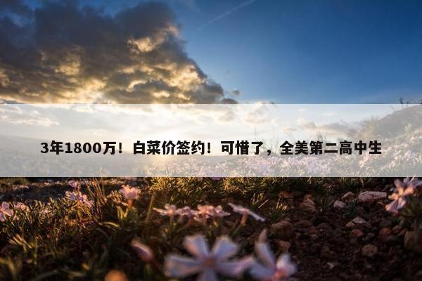 3年1800万！白菜价签约！可惜了，全美第二高中生