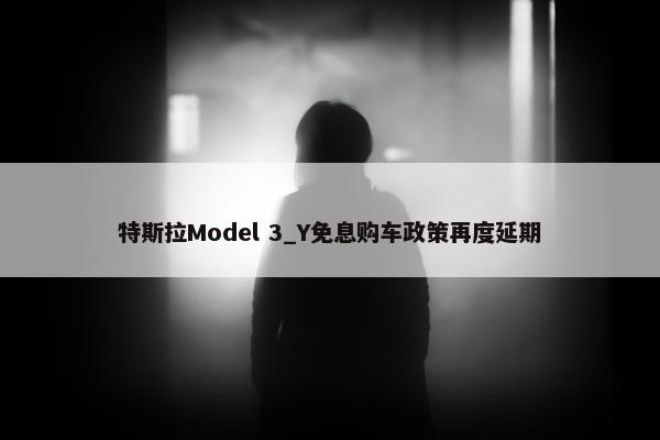 特斯拉Model 3_Y免息购车政策再度延期