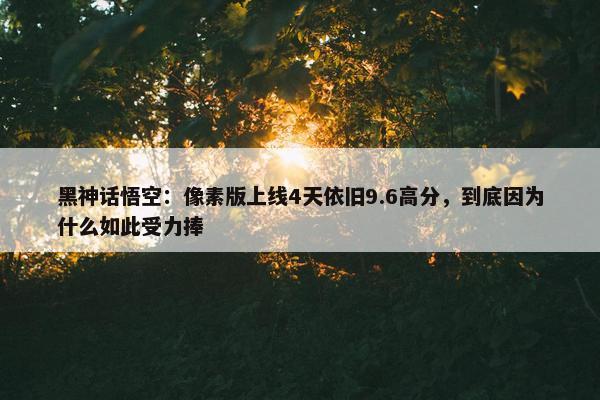 黑神话悟空：像素版上线4天依旧9.6高分，到底因为什么如此受力捧