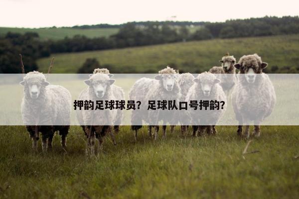 押韵足球球员？足球队口号押韵？