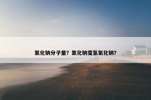 氯化钠分子量？氯化钠变氢氧化钠？