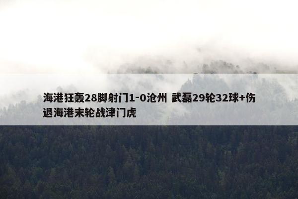 海港狂轰28脚射门1-0沧州 武磊29轮32球+伤退海港末轮战津门虎