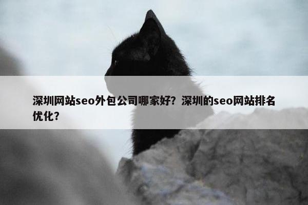 深圳网站seo外包公司哪家好？深圳的seo网站排名优化？