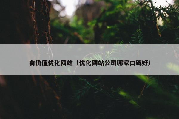 有价值优化网站（优化网站公司哪家口碑好）