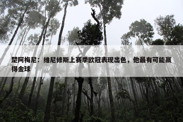 楚阿梅尼：维尼修斯上赛季欧冠表现出色，他最有可能赢得金球