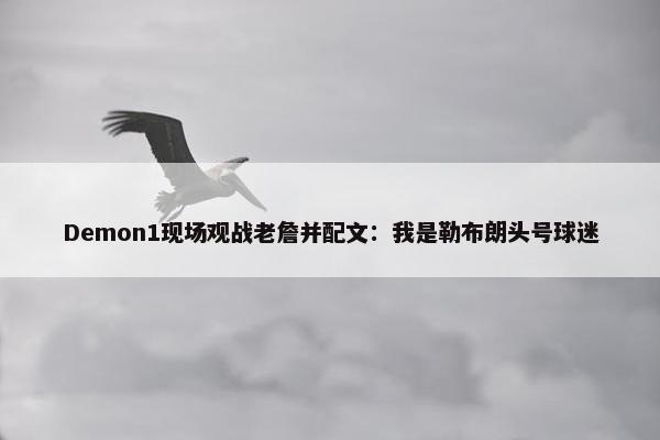 Demon1现场观战老詹并配文：我是勒布朗头号球迷