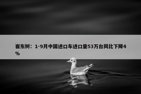 崔东树：1-9月中国进口车进口量53万台同比下降4%