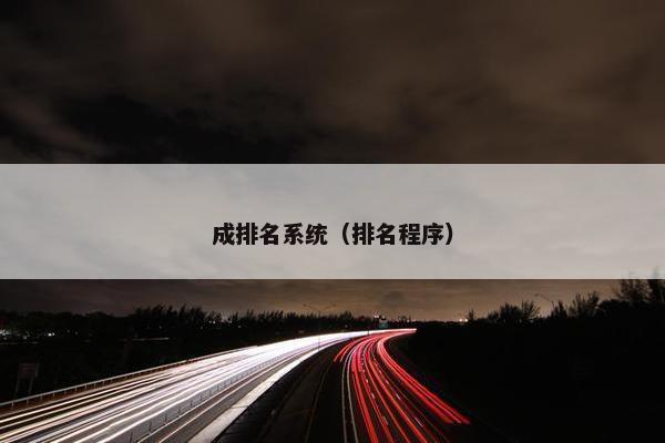 成排名系统（排名程序）