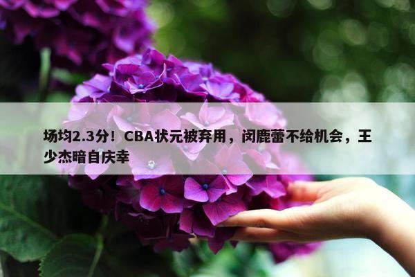 场均2.3分！CBA状元被弃用，闵鹿蕾不给机会，王少杰暗自庆幸