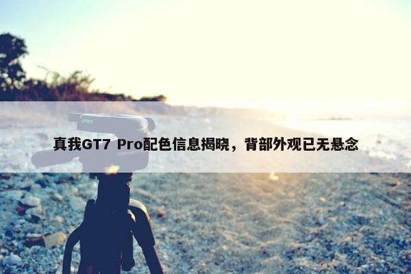 真我GT7 Pro配色信息揭晓，背部外观已无悬念