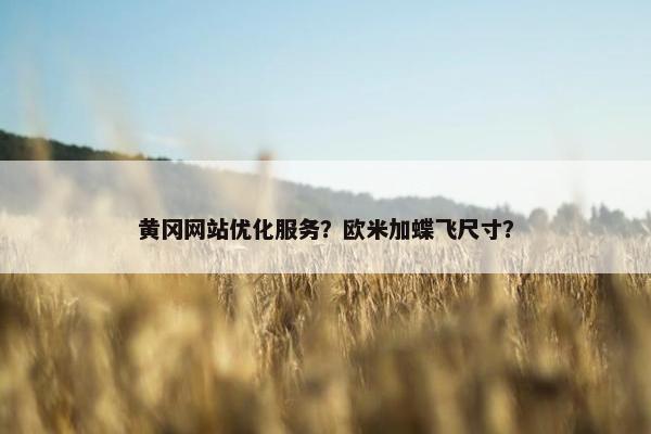 黄冈网站优化服务？欧米加蝶飞尺寸？