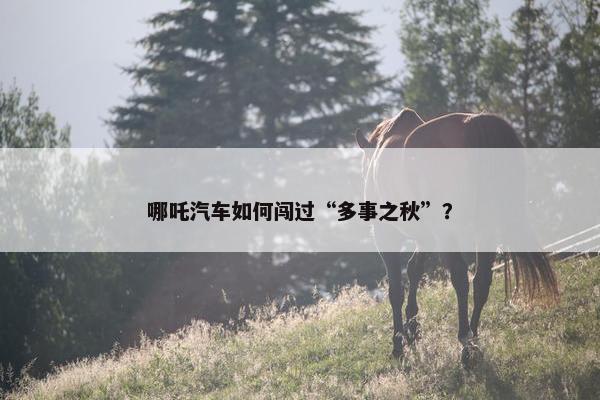 哪吒汽车如何闯过“多事之秋”？