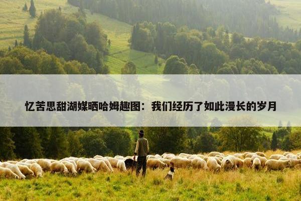 忆苦思甜湖媒晒哈姆趣图：我们经历了如此漫长的岁月