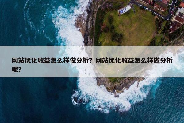 网站优化收益怎么样做分析？网站优化收益怎么样做分析呢？