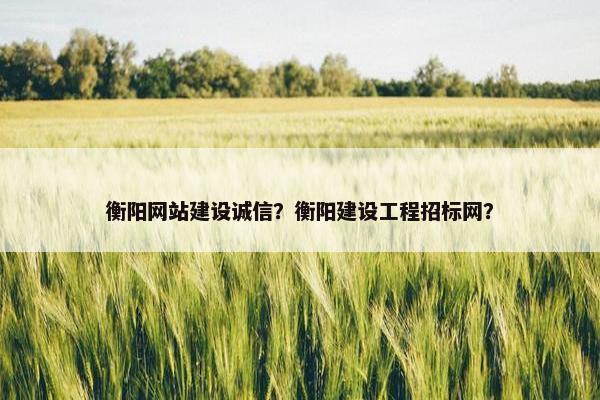 衡阳网站建设诚信？衡阳建设工程招标网？