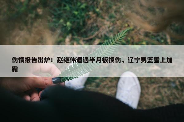 伤情报告出炉！赵继伟遭遇半月板损伤，辽宁男篮雪上加霜