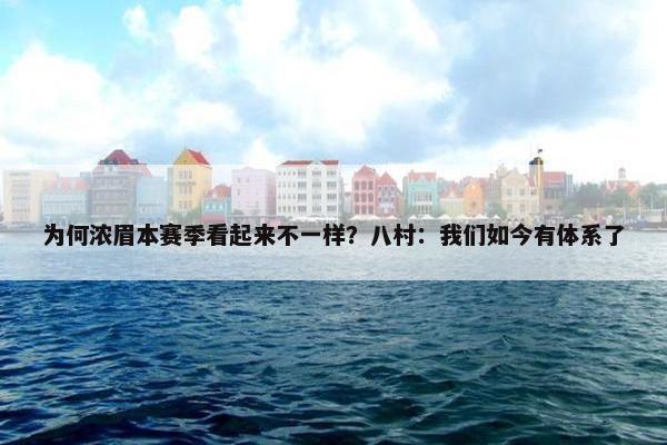 为何浓眉本赛季看起来不一样？八村：我们如今有体系了