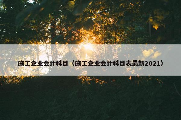 施工企业会计科目（施工企业会计科目表最新2021）