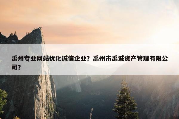 禹州专业网站优化诚信企业？禹州市禹诚资产管理有限公司？