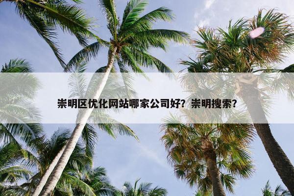 崇明区优化网站哪家公司好？崇明搜索？