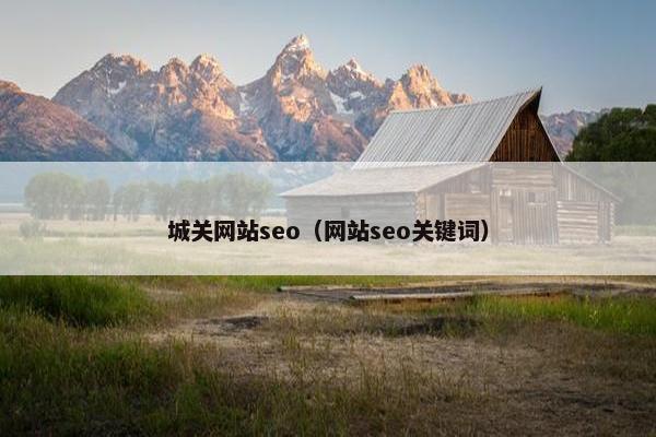 城关网站seo（网站seo关键词）