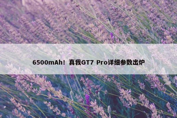 6500mAh！真我GT7 Pro详细参数出炉