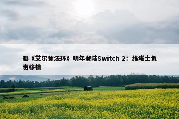 曝《艾尔登法环》明年登陆Switch 2：维塔士负责移植