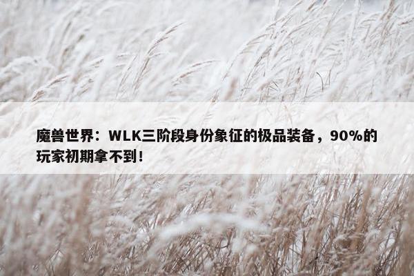 魔兽世界：WLK三阶段身份象征的极品装备，90%的玩家初期拿不到！