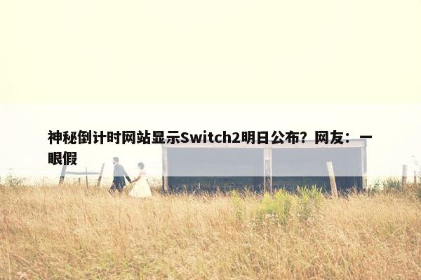 神秘倒计时网站显示Switch2明日公布？网友：一眼假