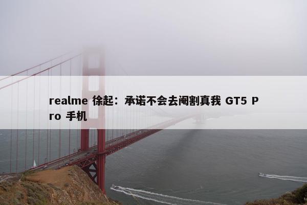 realme 徐起：承诺不会去阉割真我 GT5 Pro 手机