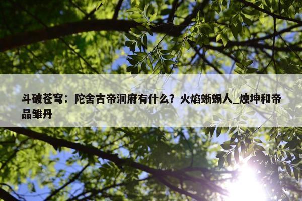 斗破苍穹：陀舍古帝洞府有什么？火焰蜥蜴人_烛坤和帝品雏丹