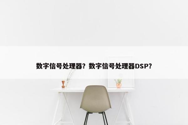 数字信号处理器？数字信号处理器DSP？