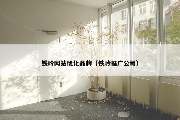 铁岭网站优化品牌（铁岭推广公司）