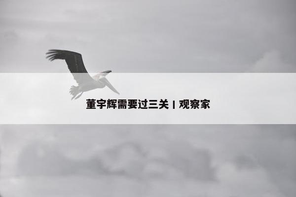 董宇辉需要过三关丨观察家