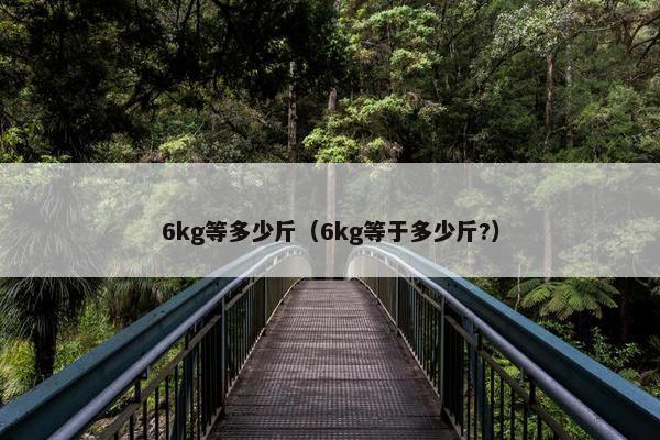 6kg等多少斤（6kg等于多少斤?）