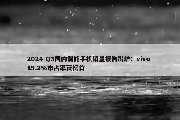 2024 Q3国内智能手机销量报告出炉：vivo 19.2%市占率获榜首