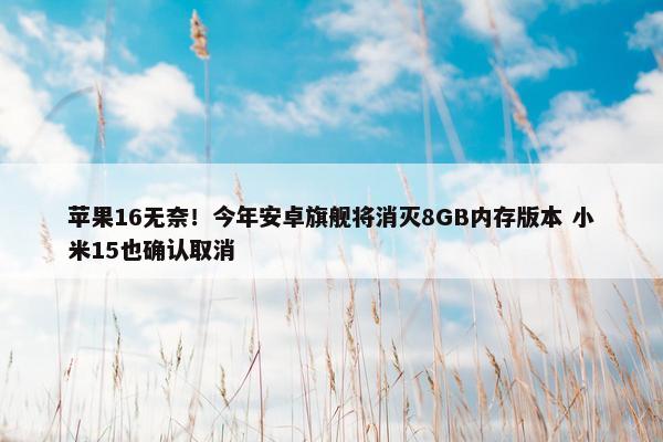 苹果16无奈！今年安卓旗舰将消灭8GB内存版本 小米15也确认取消