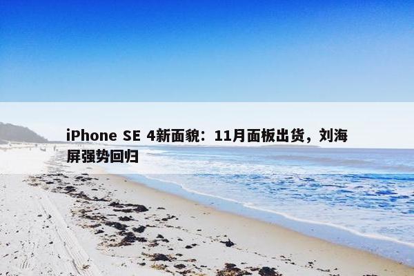 iPhone SE 4新面貌：11月面板出货，刘海屏强势回归