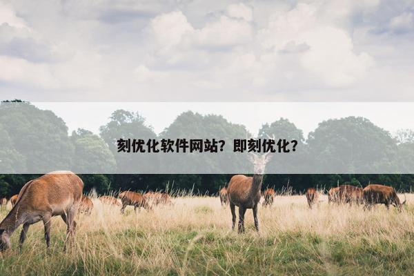 刻优化软件网站？即刻优化？