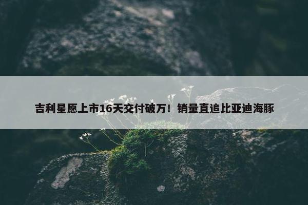 吉利星愿上市16天交付破万！销量直追比亚迪海豚