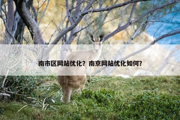 南市区网站优化？南京网站优化如何？