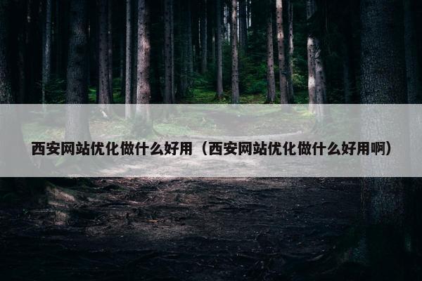 西安网站优化做什么好用（西安网站优化做什么好用啊）