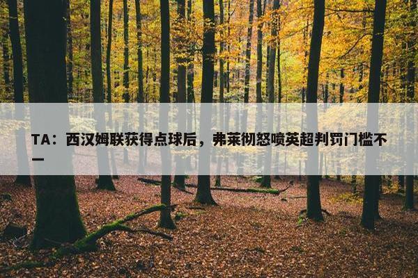 TA：西汉姆联获得点球后，弗莱彻怒喷英超判罚门槛不一